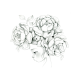 Colouring book wild2, 20x20cm Colouring book wild2, 20x20cm