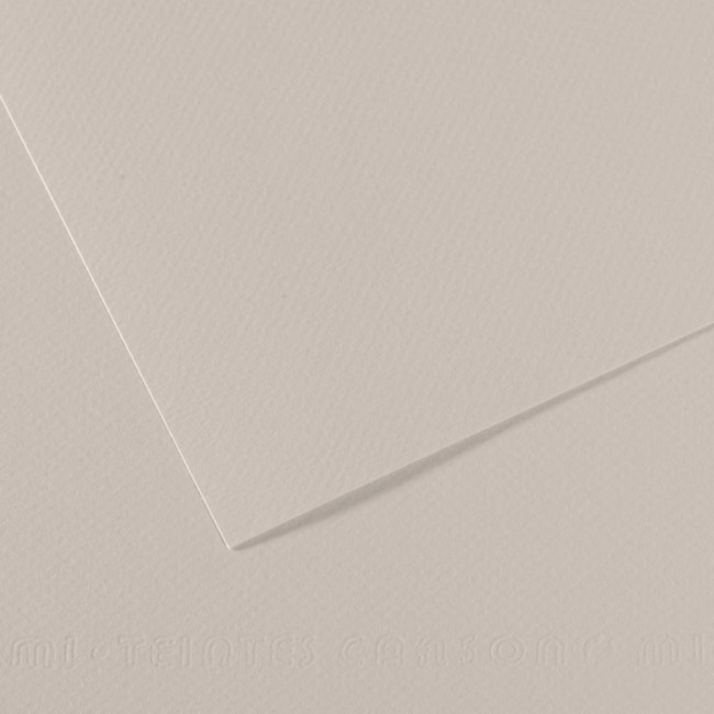 Χαρτόνι Mi-Teintes Canson 160g/m² Α4 21x29,7cm 120 pearl grey