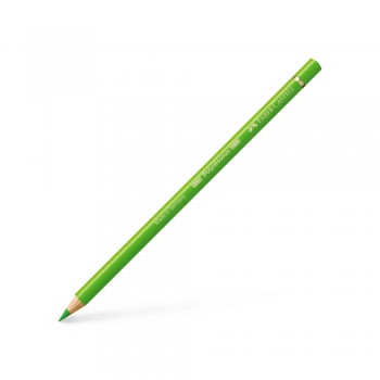 Μολύβι χρωματισμού Polychromos, 166 grass green