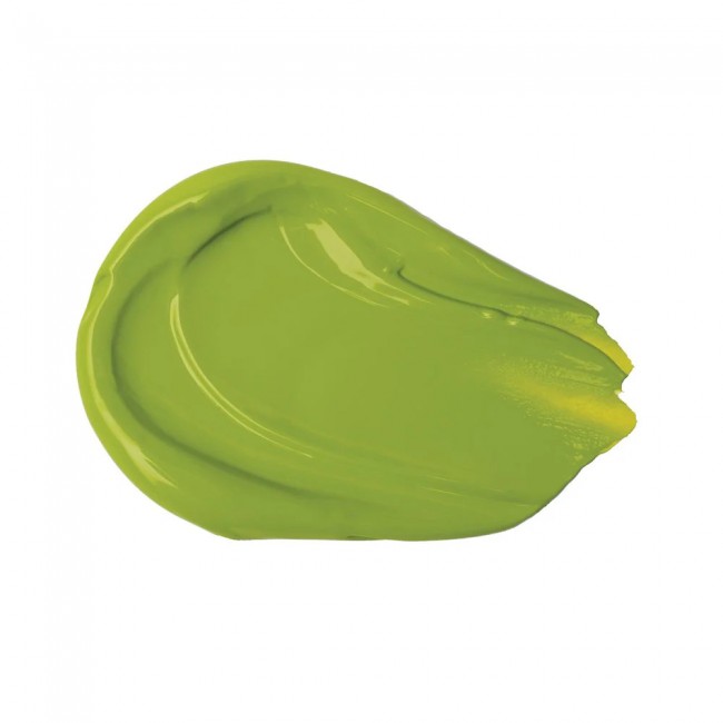 Liquitex basics 118ml acrylic 218 light olive green