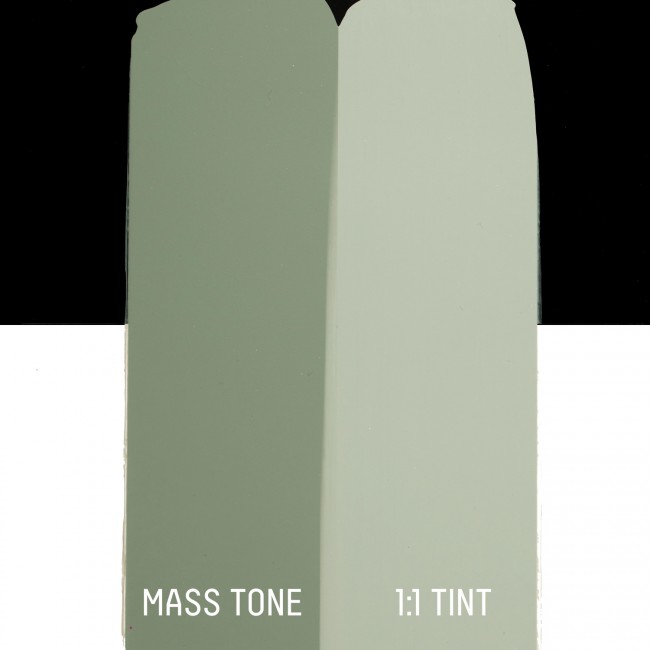 Liquitex basics 118ml acrylic 205 green gray